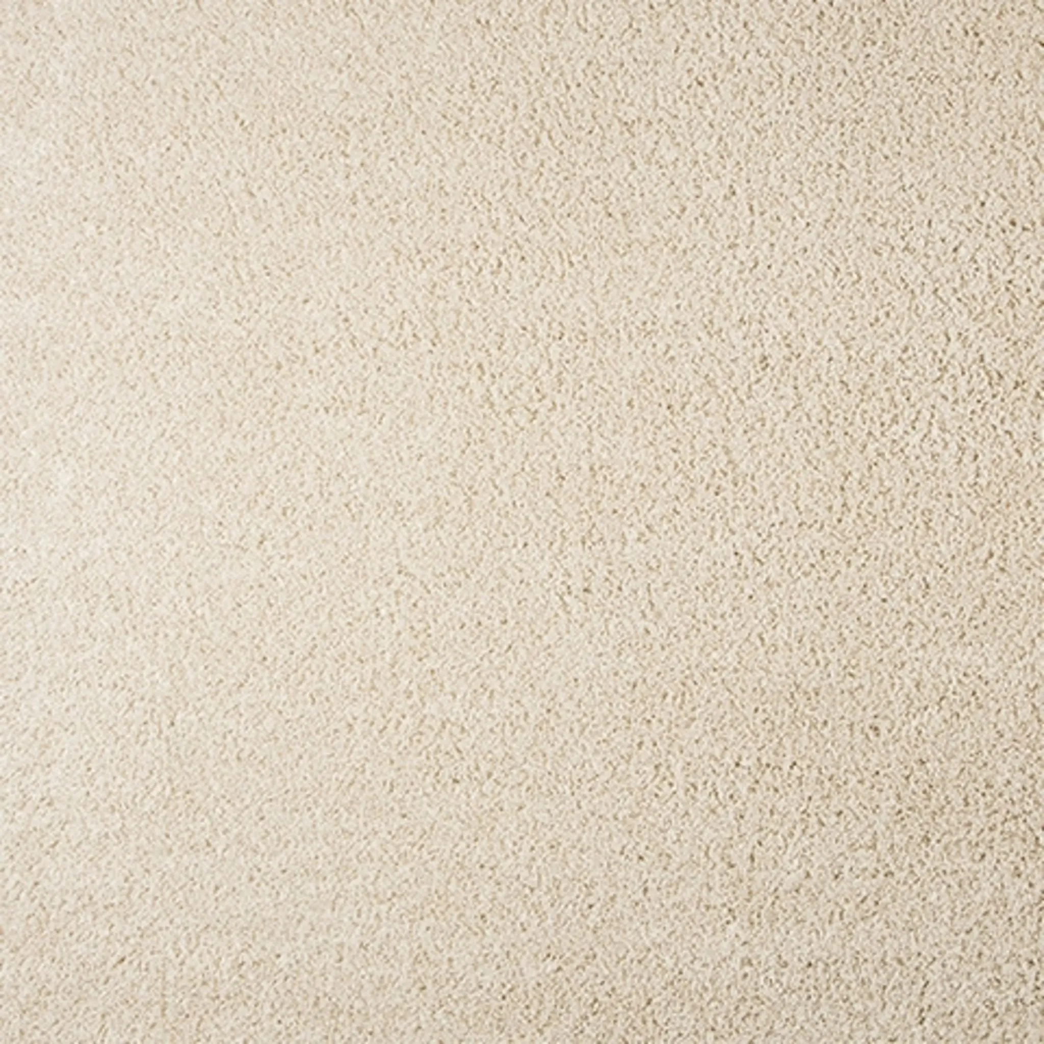 Caci Snow Area Rug