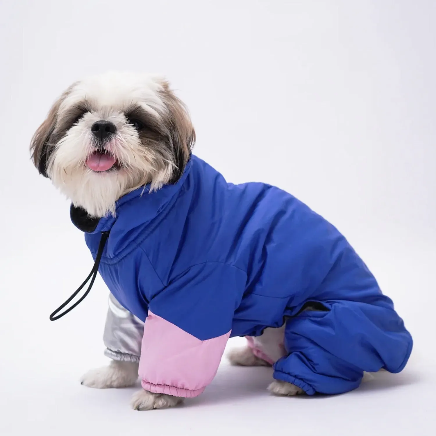Winter Dog Jacket with Metallic Silver Sleeves, Full Coverage, and Top Zip