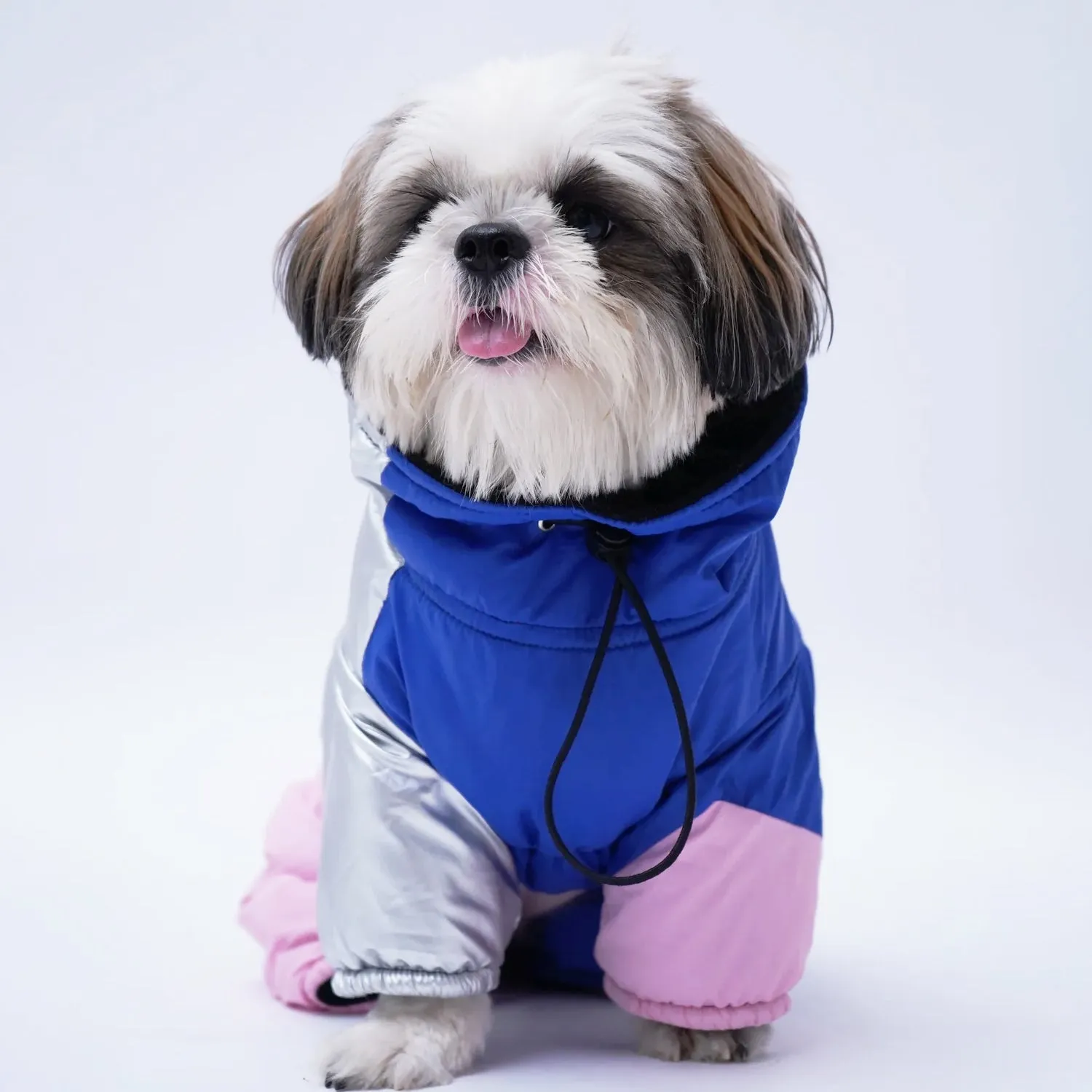 Winter Dog Jacket with Metallic Silver Sleeves, Full Coverage, and Top Zip